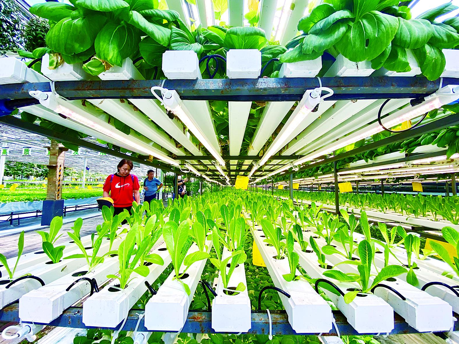 鸡西市苗床种植槽 - 价格